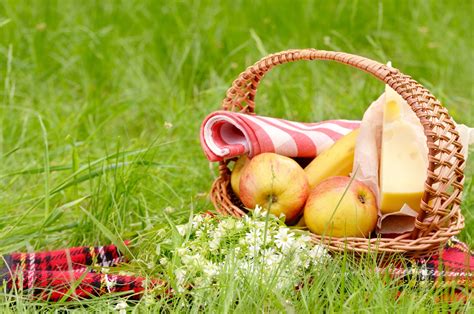 Download Flower Cheese Apple Basket Meadow Grass Summer Photography