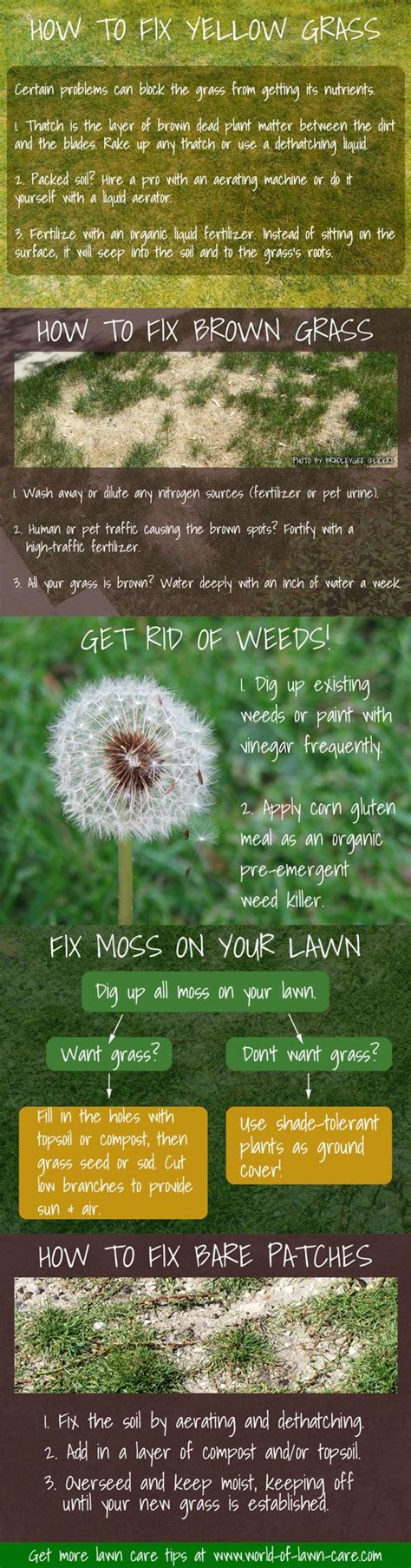 32 Best Images About Lawn Care Business Tips On Pinterest