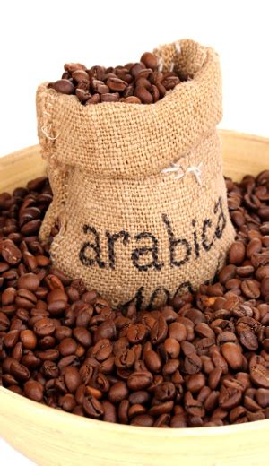 asal muasal kopi arabica  robusta ditanam  indonesia