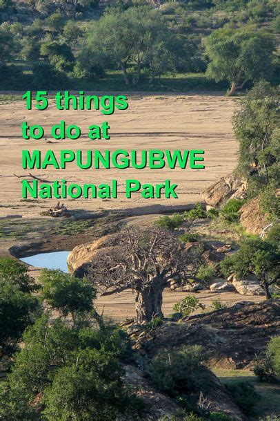 Mapungubwe National Park Everything You Need To Know National Parks