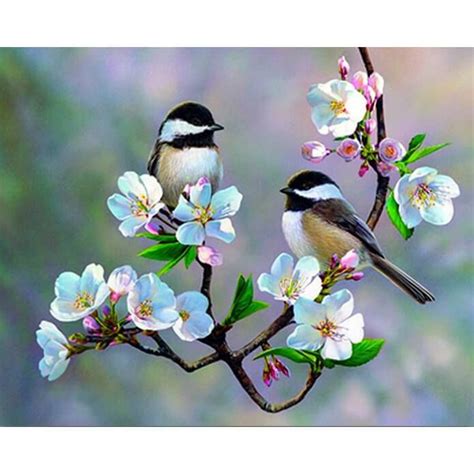 Cherry Blossoms Birds Cross Paintings Bird Pictures Birds Painting