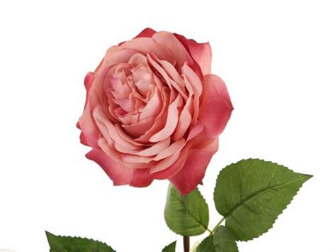 Floral Elegance Artificial 92cm Single Stem Fully Open Dusky Pink Rose