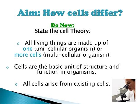 Ppt Aim How Do Organelles Impact A Cells Activity Powerpoint