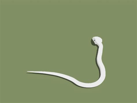 Slither Gif Find Share On Giphy