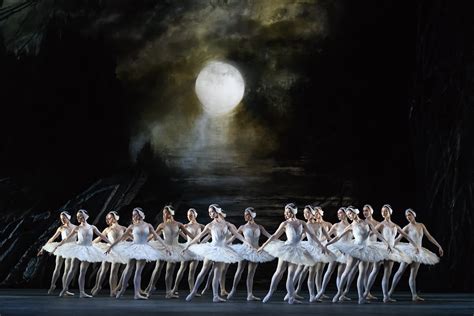 Artists Of The Royal Ballet In Swan Lake The Royal Ballet Flickr