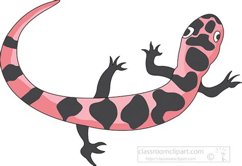 Amphibian Clipart Clipart Photo Image Spotted Salamander Clipart