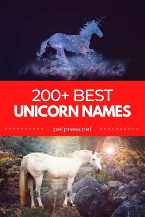200 Unicorn Names The Best Names For This Magical Creature