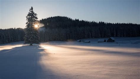 Premium Photo Winter At Pokljuka Plateau