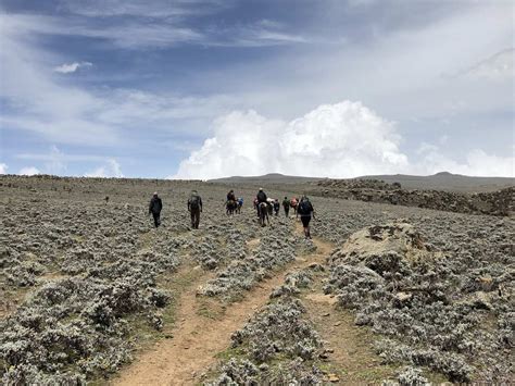 Trekking The Bale Mountains Ethiopia