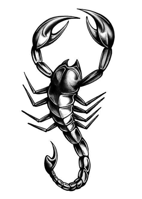 Scorpion Tattoo Photos Pictures Images Art Tattoos Designs