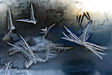 Ice Crystal Birds 1494 Photoholic1 Flickr