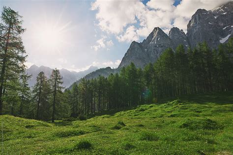 Beautiful Mountain Forest Landscape Sun Shining Forest Travel In By