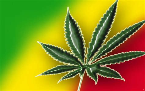We did not find results for: Trippy Rasta Weed Wallpapers (62+ background pictures)