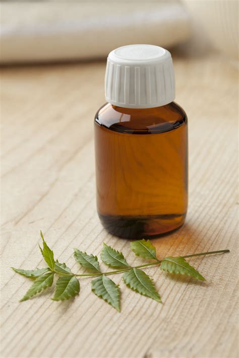 From moisturizing, to treating scalp problems, neem oil can help hair health. How To Use Neem Oil For Hair Growth | Benefits of Neem Leaves