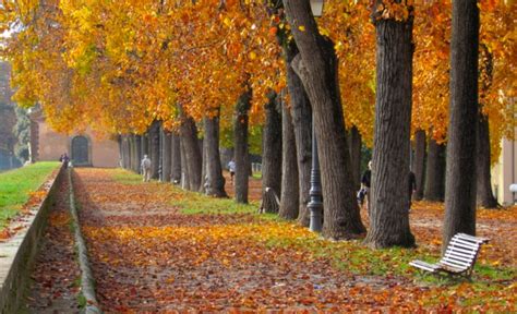 Top 6 Reasons Why You Must Visit Italy In Autumn