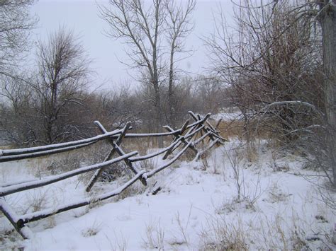 Peaceful Winter Scene At Morad Park Snow Fence Wyoming
