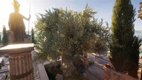 Olive Tree Of Athena Assassins Creed Wiki Fandom