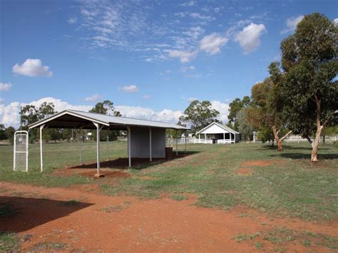 Trundle Showground Nsw Holidays And Accommodation Things To Do
