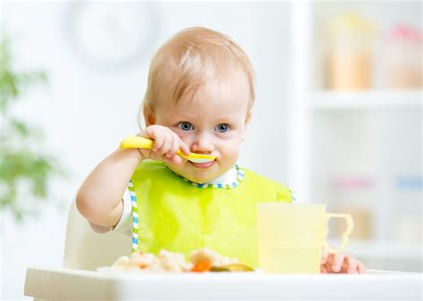 Baby Led Weaning Mixto C Mo Combinar La Alimentaci N Guiada Por El Beb Con Los Triturados