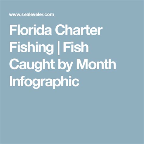 Florida Charter Fishing Fish Caught By Month Infographic Fish