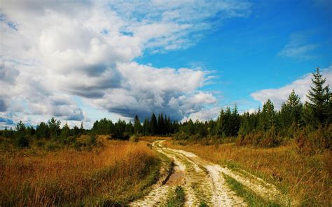 Landscape Nature Beautiful Forest Area Wild Sky Landscapes Wallpapers Hd Desktop And