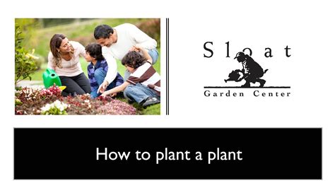Webinar How To Plant A Plant Youtube
