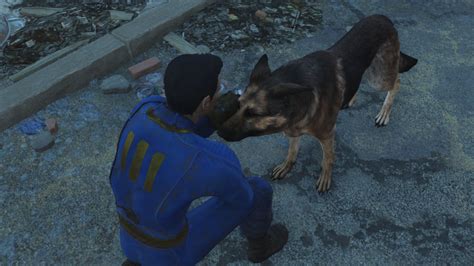 Fallout 4 The Sole Survivor Meets Dogmeat By Spartan22294 On Deviantart
