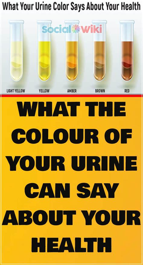 What The Colour Of Your Urine Can Say About Your Health Color Of Urine Urinal Health