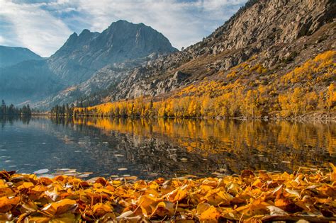 Fall Colors Peak In Yosemite Eastern Sierra This Week