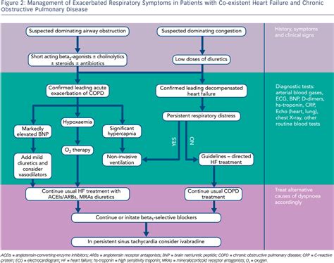 Challenges Of Treating Acute Heart Failure In Patients With Chronic