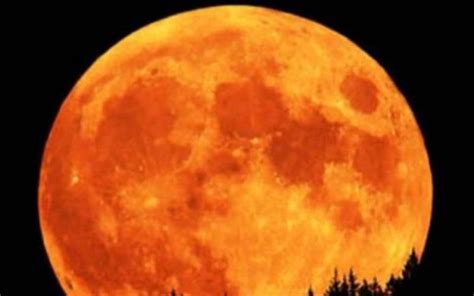 La Luna De Cosecha Que Se Verá Esta Noche No Se Repetirá En 30 Años