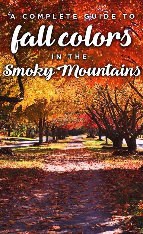 Fall Colors In The Smoky Mountains With Text Overlay That Reads A