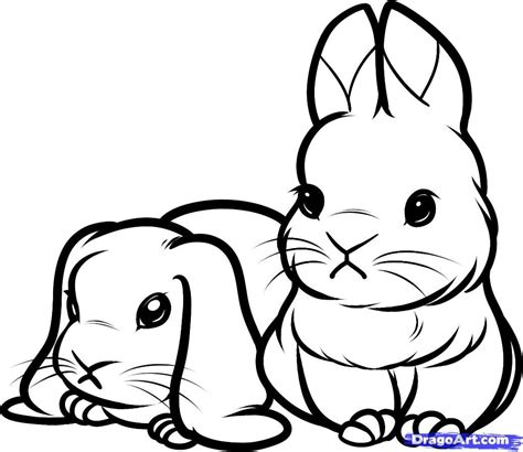 Cute Rabbit Drawing ~ Easy Drawing Cool