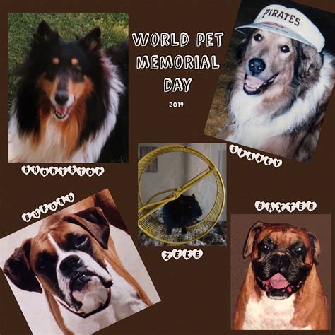 Pin by 🎄C~A~T~H~Y🎄 on Families are Forever | Pet memorials, Pets, Animals