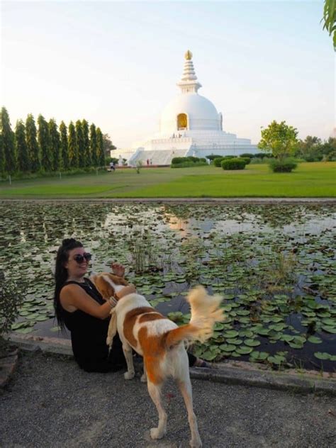 the ultimate lumbini travel guide 2021 visit the birthplace of buddha