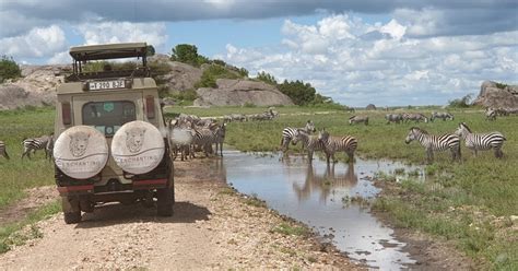 Enchanting Tanzania Safaris What To Do In Tanzania A Guide By Local