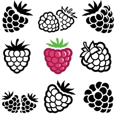 Raspberry Illustrations Royalty Free Vector Graphics And Clip Art Istock