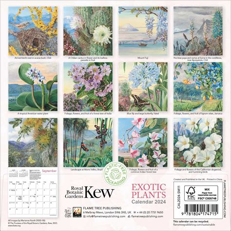 Kew Gardens Exotic Plants By Marianne North Mini Wall Calendar 2024