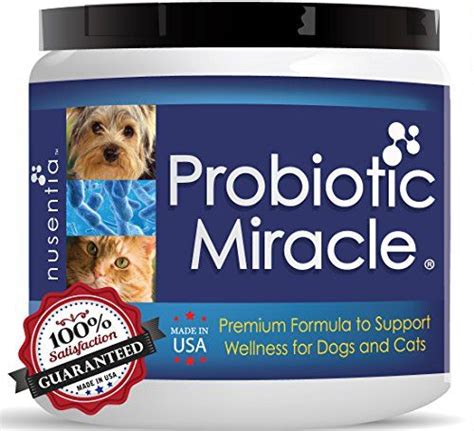 Nusentia Probiotics For Dogs 360 Scoops Probiotic Miracle Advanced