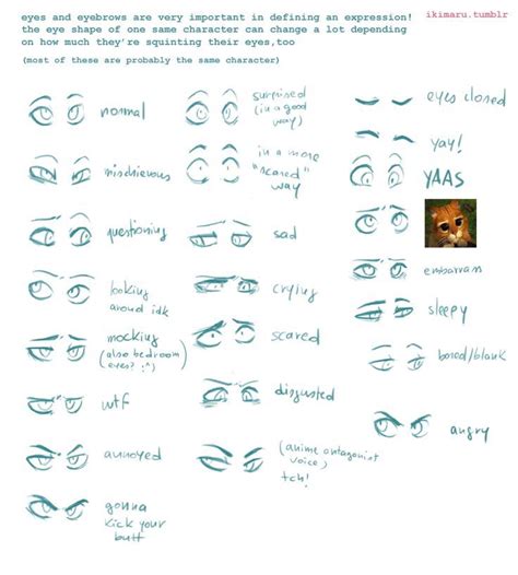 Eyebrow Expressions Ikimaru Drawing Expressions Eye Drawing Art