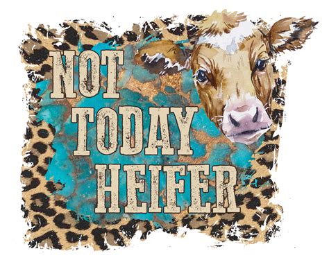 Not Today Heifer Transfer – Kinda Hippi Kinda Hood Sublimation Prints png image