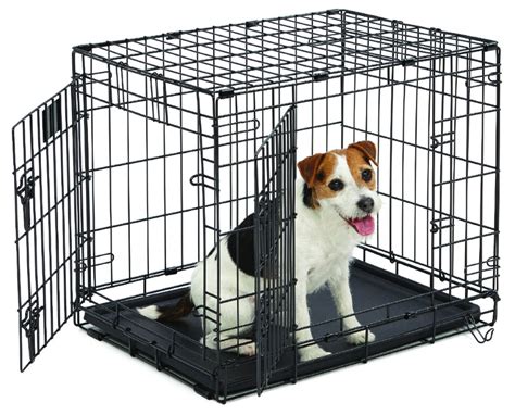 How To Crate Train Your Dog In 9 Easy Steps American Kennel Club