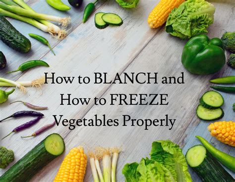 How To Blanch And How To Freeze Vegetables Properly Hubpages