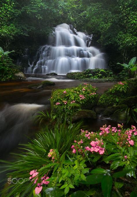 Waterfall With Pink Flowers Waterfall Landscape Pictures Beautiful