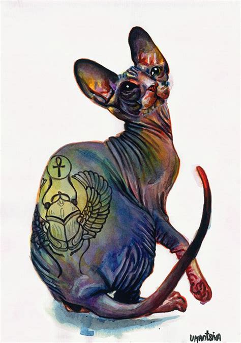 Tattooed Sphynx Cat By On Deviantart