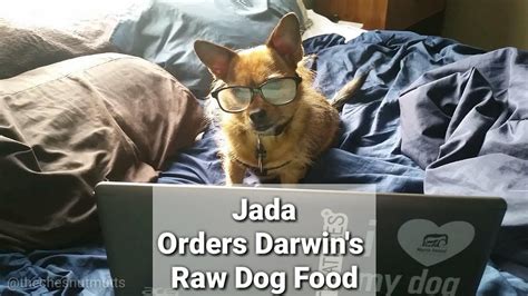 Chelated minerals are usually found in better dog foods. Jada Orders Darwin's Raw Dog Food (Sponsored) - YouTube