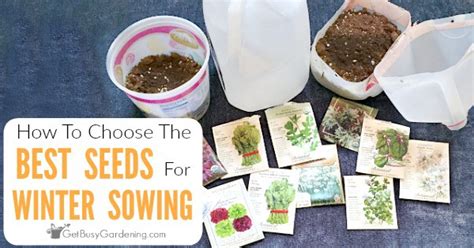 How To Choose The Best Seeds For Winter Sowing Get Busy Gardening