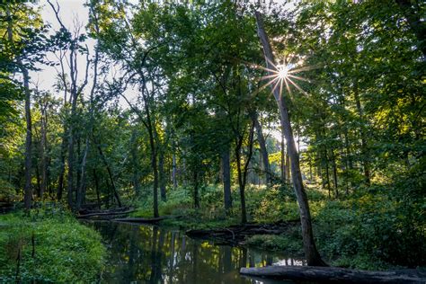 The Best Places To Hike In Will County Forest Preserve District Of Will County