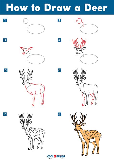Deer Drawing Step By Step At Drawing Tutorials