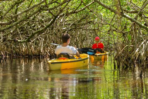 14 Best Things To Do In Everglades National Park Fl Map Touropia